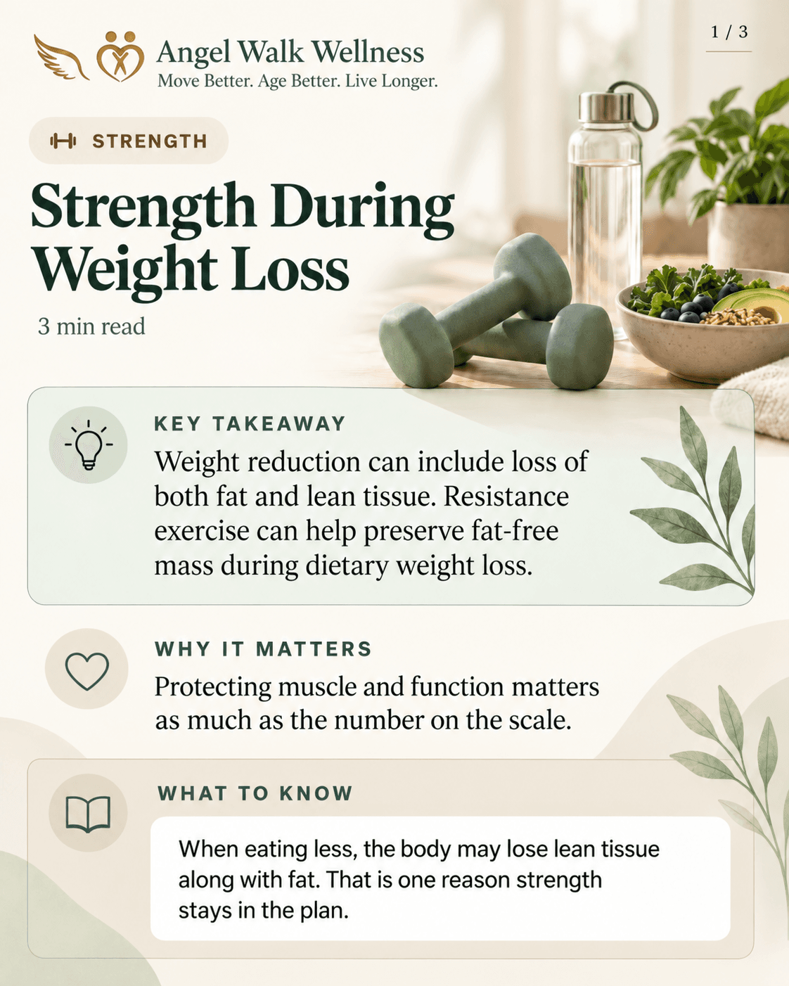 Strength During Weight Loss