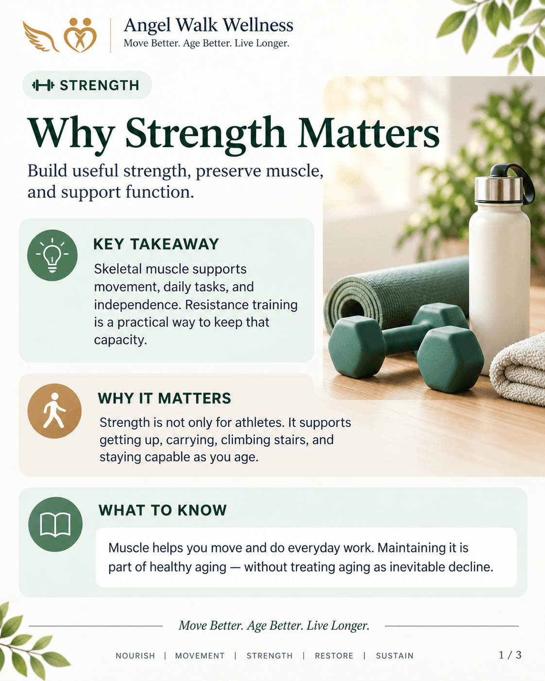 Why Strength Matters