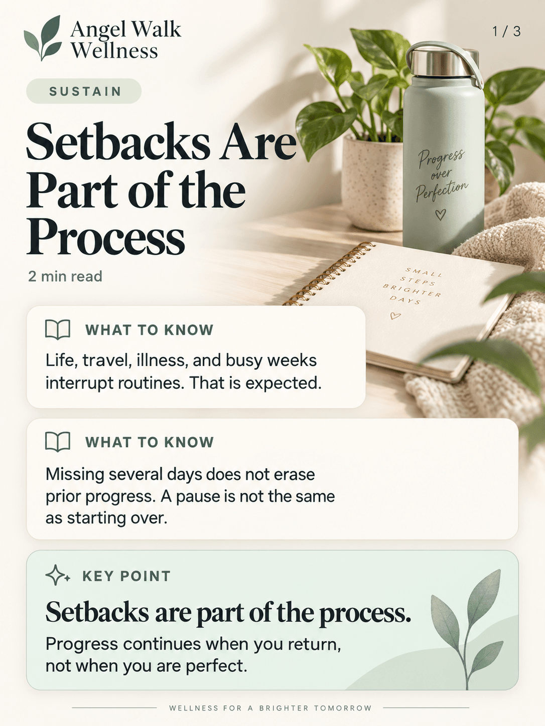 Setbacks Are Part of the Process