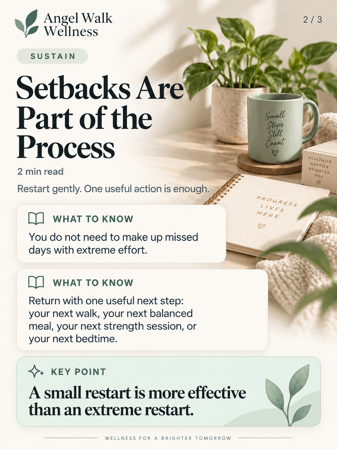 Setbacks Are Part of the Process